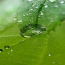 승현약국 이미지