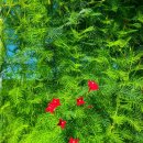 별천지영농조합법인 이미지