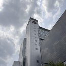 압구정 씨네 드 셰프 템퍼시네마 치킨앤칩스 플래터 군체 관람기 (가는 법, 가격, 메뉴)