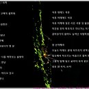 당신 참 시다, 詩다 / 서하 이미지