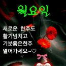 순수한인연 Daum카페