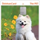 펫(PET)과 함께 이미지