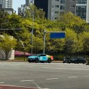 초이스외과동물병원 | 인천 송도 슬개골탈구 동물병원, 초이스외과동물병원에서 수술한 이야기