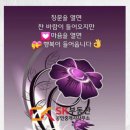 안녕, 이화리 네이버블로그