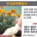 부산농약종묘사 이미지
