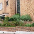 성균관로14길 이미지