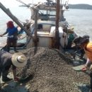 연안목장 이미지