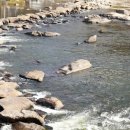 예향천리마실길 2코스 편백숲길 | 빛을 가두다. 순창 예향천리마실길3코스. 2025년 11월 16일 일요일