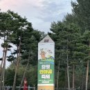 보강천 체육공원 | 25.09.25~25.09.28 먹거리 볼거리 즐길거리 가득한 아이들과 함께 가기 좋은 증평 인삼골 축제 방문 후기
