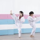 특사태권도