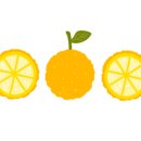 등빛도서관 이미지