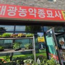 대광종묘사 이미지