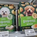 강아지고양이편의점청주