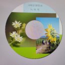 고마운행정사 이미지