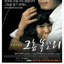 양평자동차극장 네이버블로그