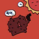 띠로리