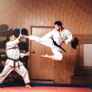 고려합기도 이미지