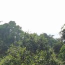 (주)단주 이미지