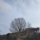 호저초등학교 이미지