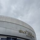 캣앤독 | 8~9월 일상