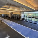 벵가스테이 이미지