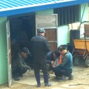 최가네농장 이미지