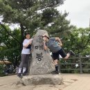 6월의 일상기록(소피와 청계산, 루나, 푸파님, 골프게임)