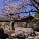 서구-01-161 이미지