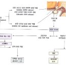 소마메디 이미지