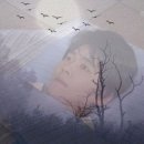 사직로 R 이미지