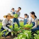 용학도서관 | 대구시 수성구 용학도서관 생태환경 가족체험 프로그램