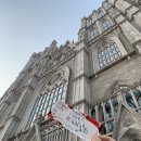 (주)에스와이팜 | 문화생활 입문_레미제라블 내한 콘서트