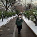 서울대학교 보건대학원 이미지