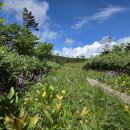 구로-구로-구로-1613 이미지