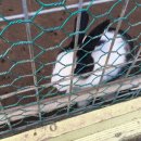 원영목장 이미지