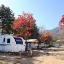 카스테이션 이미지