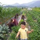 두학농장 이미지