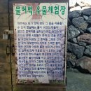 온평리(혼인지마을)농촌체험휴양마을 네이버블로그