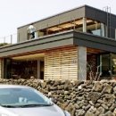제주 만개