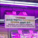 육회꽃피우다 이미지