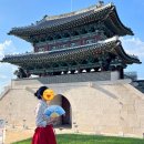 진주교방 | 진주여행 시가 되는 여행 진주교방로드