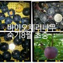 고향슈퍼 네이버블로그