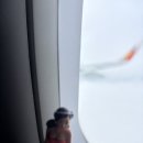 보라카이 | 보라카이 여행 후기