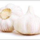 비트 16 가산점 이미지