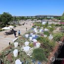 뚝섬한강공원-22 이미지