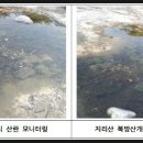 빨라진 국립공원 내 개구리 산란시기 기후변화 영향 추정 이미지