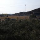 입촌농장 이미지