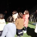 숲속꼬마어린이집 | [튼튼 어린이집💪] '꼬마숲' 어린이집 / 2회차 수업 (260319/목)