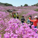 비슬산관광지 이미지