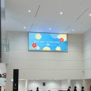 서현호스텔 | 후쿠오카에서 민지언니 만나고 왔습니다. 아자스!